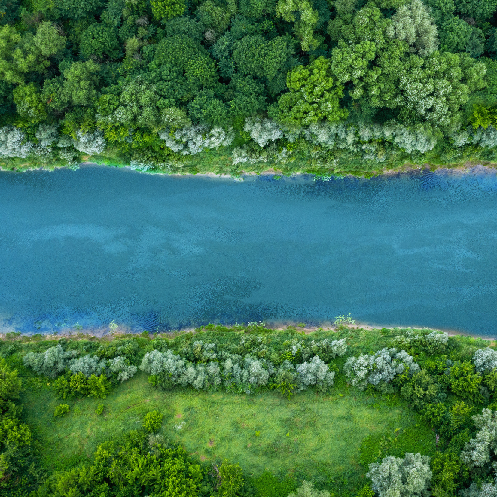 River with a clearing by Alex on Adobe Stock